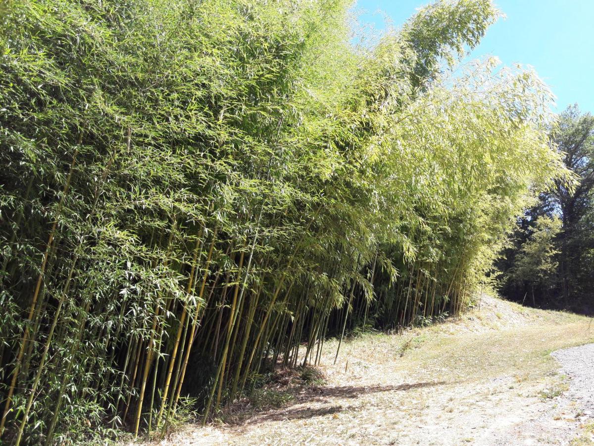 Domaine Le Mayne Chabrignac 外观 照片